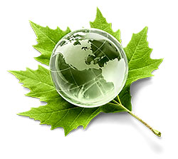 Paperless and Environmentally Friendly
